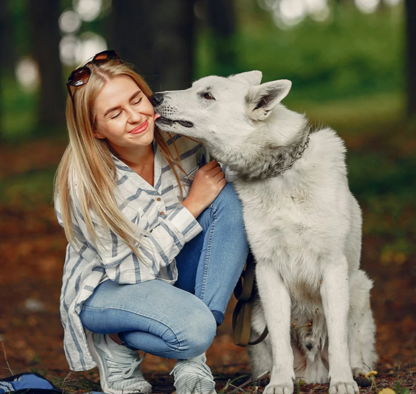 THE DAY MY HEART GREW PAWS: HOW A DOG SILENTLY REWRITES YOUR ENTIRE SOUL